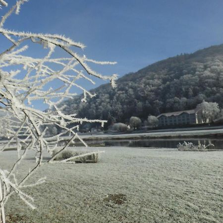 Hotel Weserstuben Боденвердер Екстер'єр фото